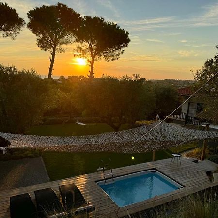 Sea View Villa In Olive Garden Nea Kallikrateia Εξωτερικό φωτογραφία
