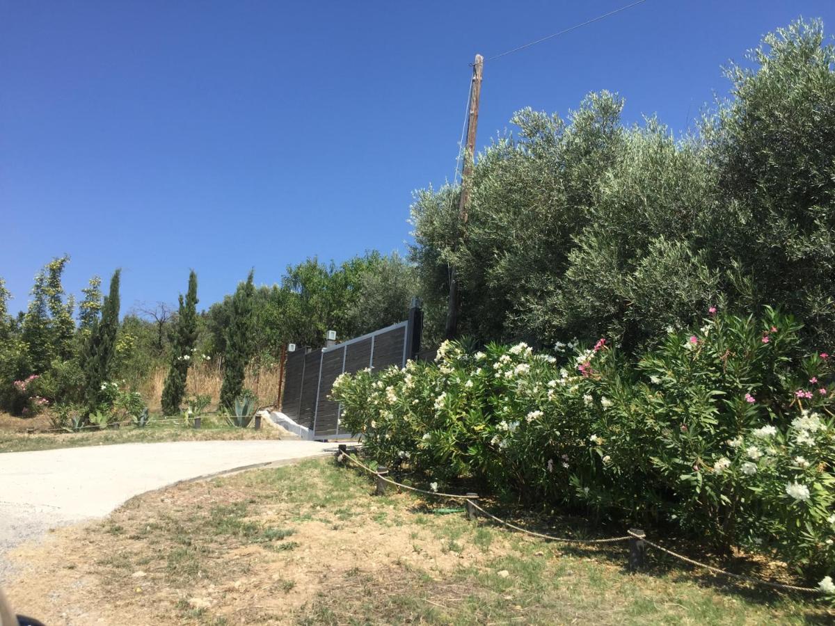Sea View Villa In Olive Garden Nea Kallikrateia Εξωτερικό φωτογραφία