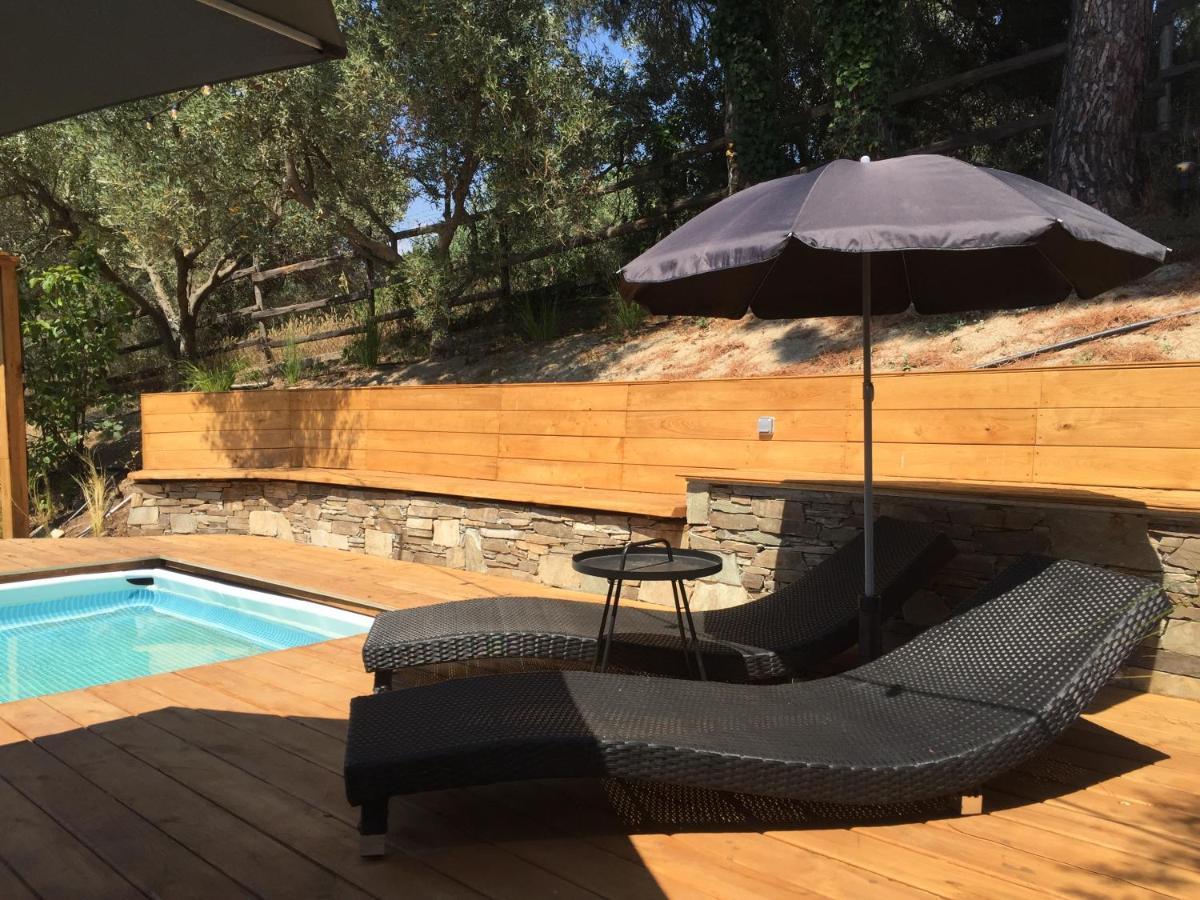 Sea View Villa In Olive Garden Nea Kallikrateia Εξωτερικό φωτογραφία