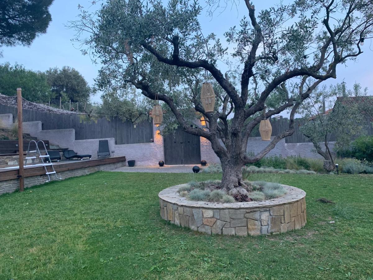 Sea View Villa In Olive Garden Nea Kallikrateia Εξωτερικό φωτογραφία