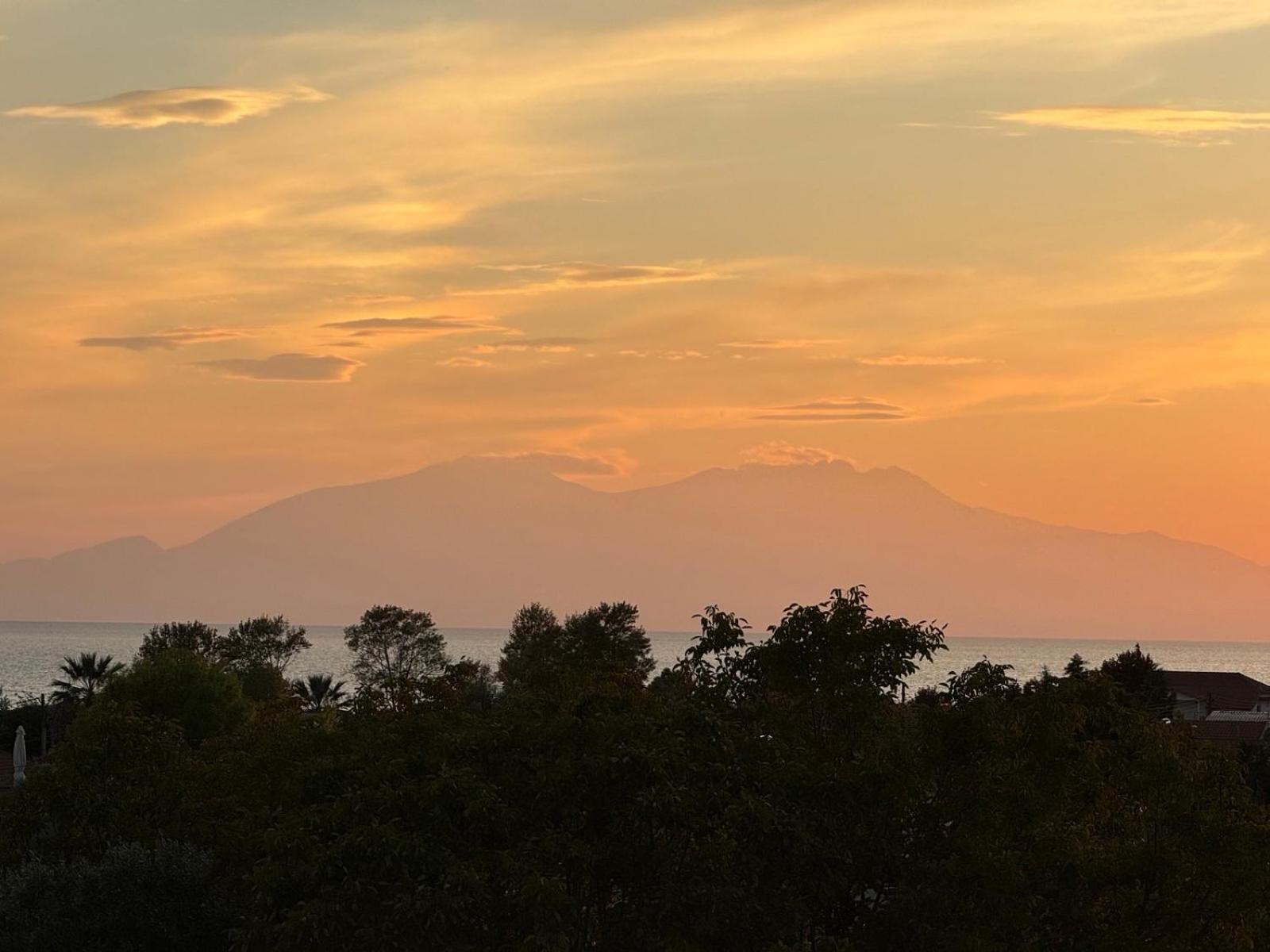 Sea View Villa In Olive Garden Nea Kallikrateia Εξωτερικό φωτογραφία