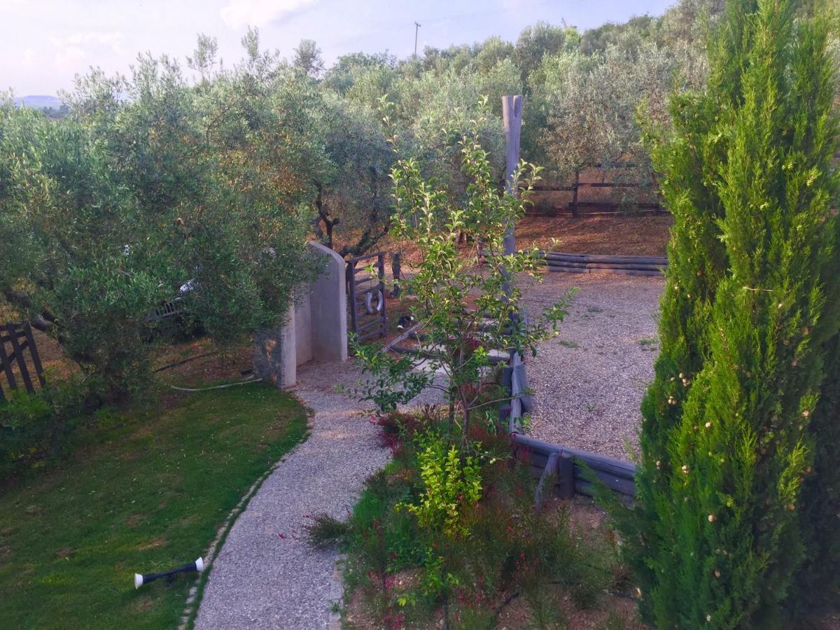 Sea View Villa In Olive Garden Nea Kallikrateia Εξωτερικό φωτογραφία