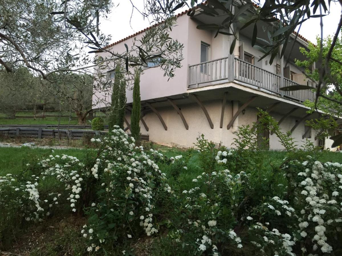 Sea View Villa In Olive Garden Nea Kallikrateia Εξωτερικό φωτογραφία
