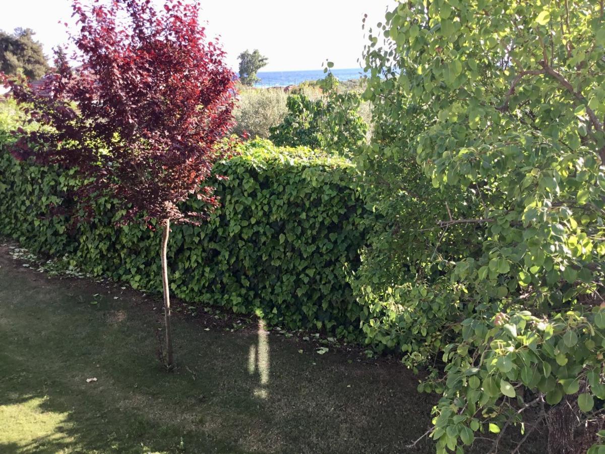Sea View Villa In Olive Garden Nea Kallikrateia Εξωτερικό φωτογραφία